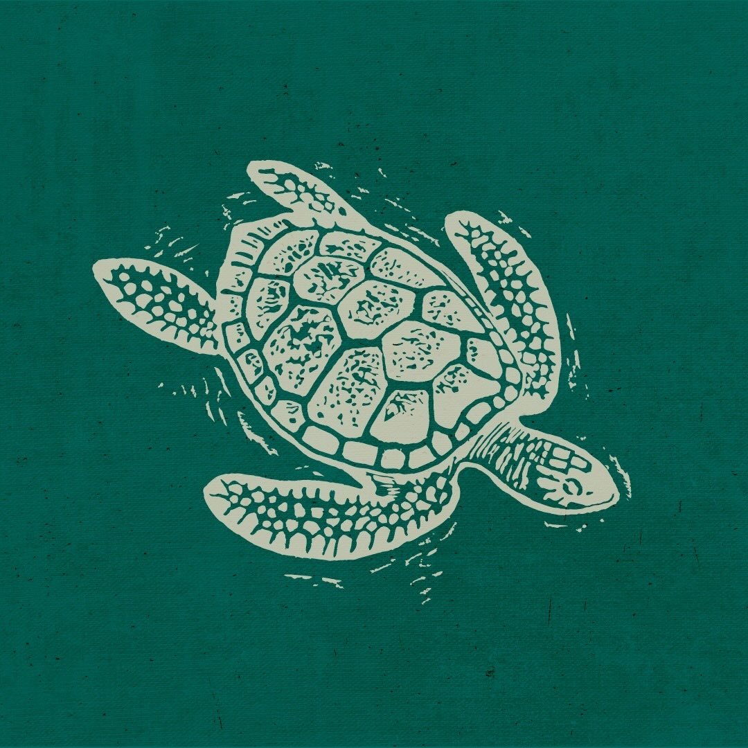 Turtle Bay Restaurants