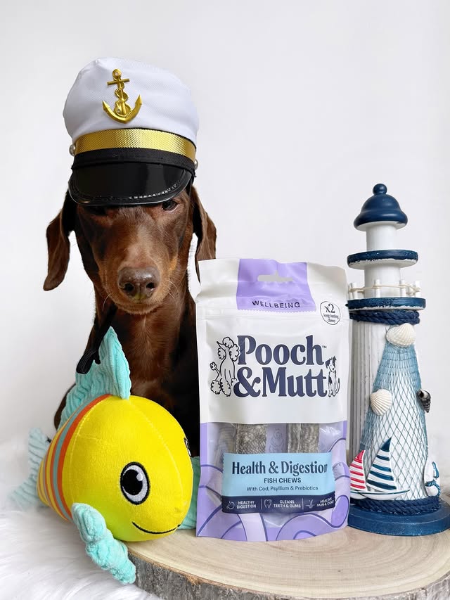 Instagram post by @frankie_dachshund03 for Pooch and Mutt. Caption reads: [...] to launch the new FISH CHEWS from....