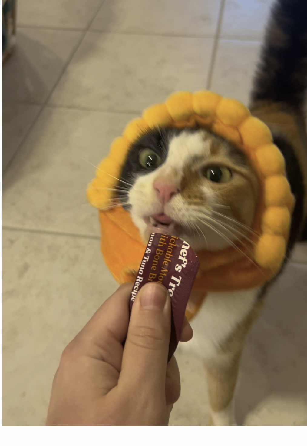 TikTok post by @shakeywobbles for Made by Nacho. Caption reads: [...] is flying off just looking at the @Made by....