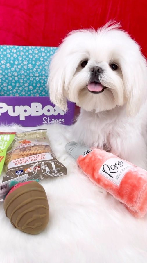 Instagram post by @tinyspikeymikey for PupBox. Caption reads: Just got my new Valentine’s PupBox 💕Let’s open!....