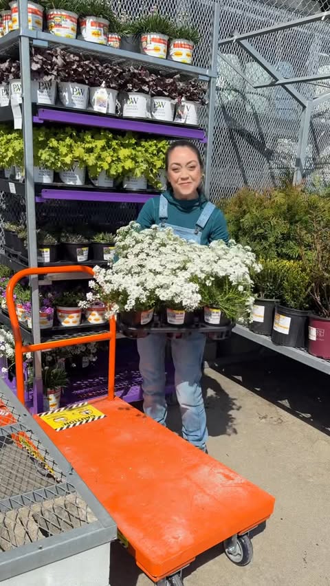 Instagram post by @jenwoodhouse for The Home Depot. Caption reads: [...] Black Friday deals happening now at The Home....