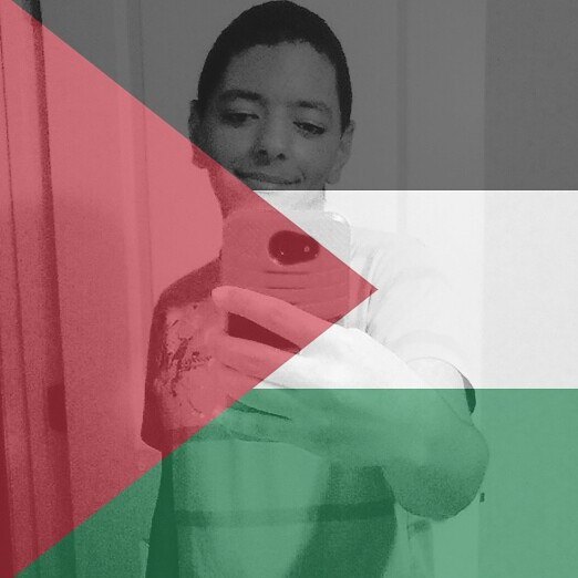 Instagram post by @noureddinmughrabi for PaliRoots. Caption reads: Free Palestine 🇵🇸.