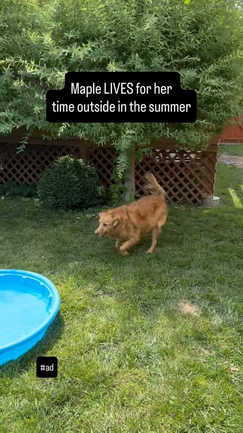 Instagram post by @thegoldenbreakfastclub for Nature's Miracle. Caption reads: [...] in our backyard in the summer!....