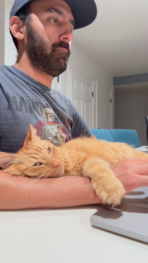 Instagram post by @mrkermitmeow for Smalls. Caption reads: [...] and I wouldn’t have it any other way.....