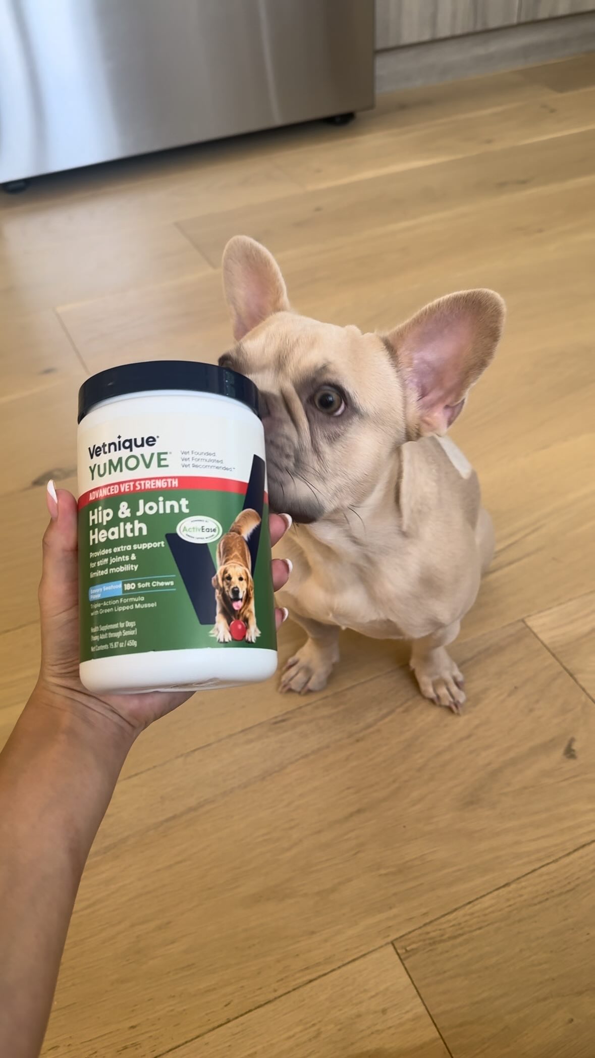 Instagram post by @winstonthefrenchiee_ for Vetnique. Caption reads: Six weeks post-surgery and Charlie’s making great....