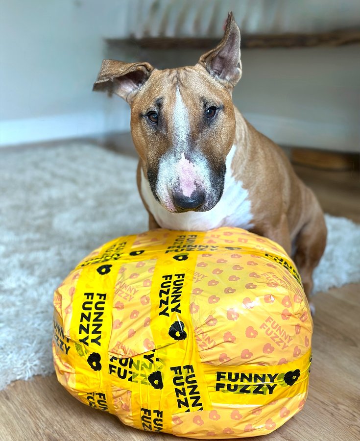 Instagram post by @barkley.ebt for FunnyFuzzy. Caption reads: [...] today… straight from the team at....