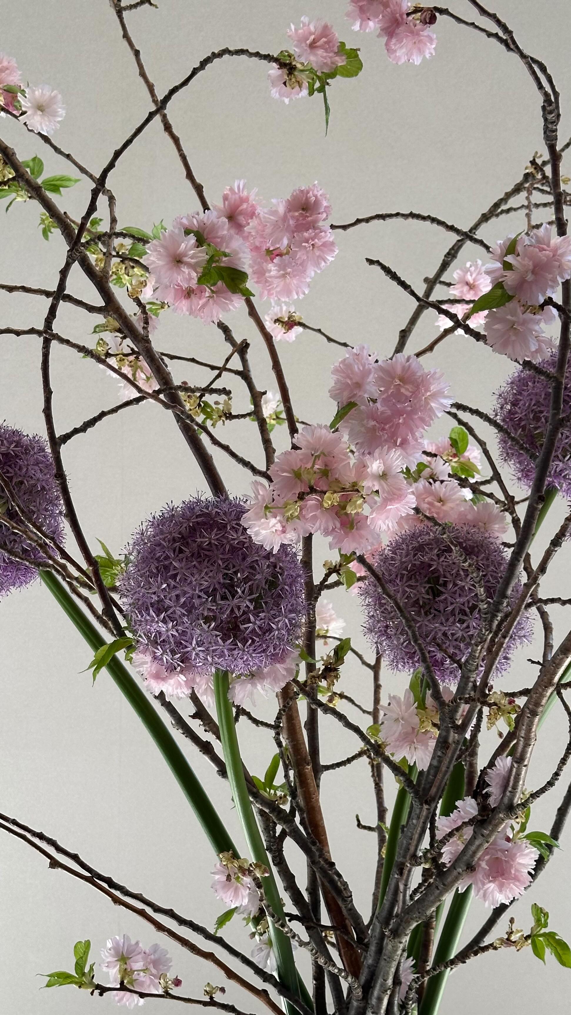 Instagram post by @lucianavirasoro for Bare Necessities. Caption reads: WEAR THE DANG SWIMSUIT 👙🩱🌊☀️

These swimsuits....