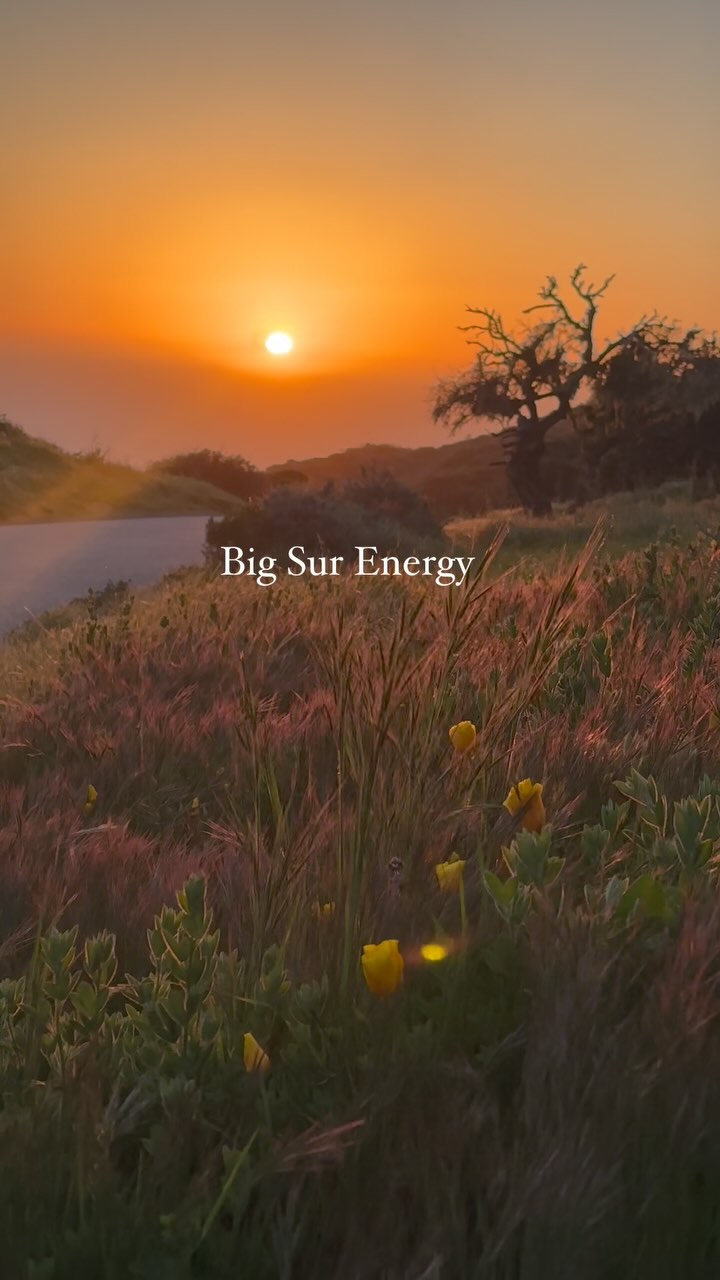 Instagram post by @treebonesresort for Eater LA. Caption reads: Hey adventurers! ✨ Ready to experience the magic....