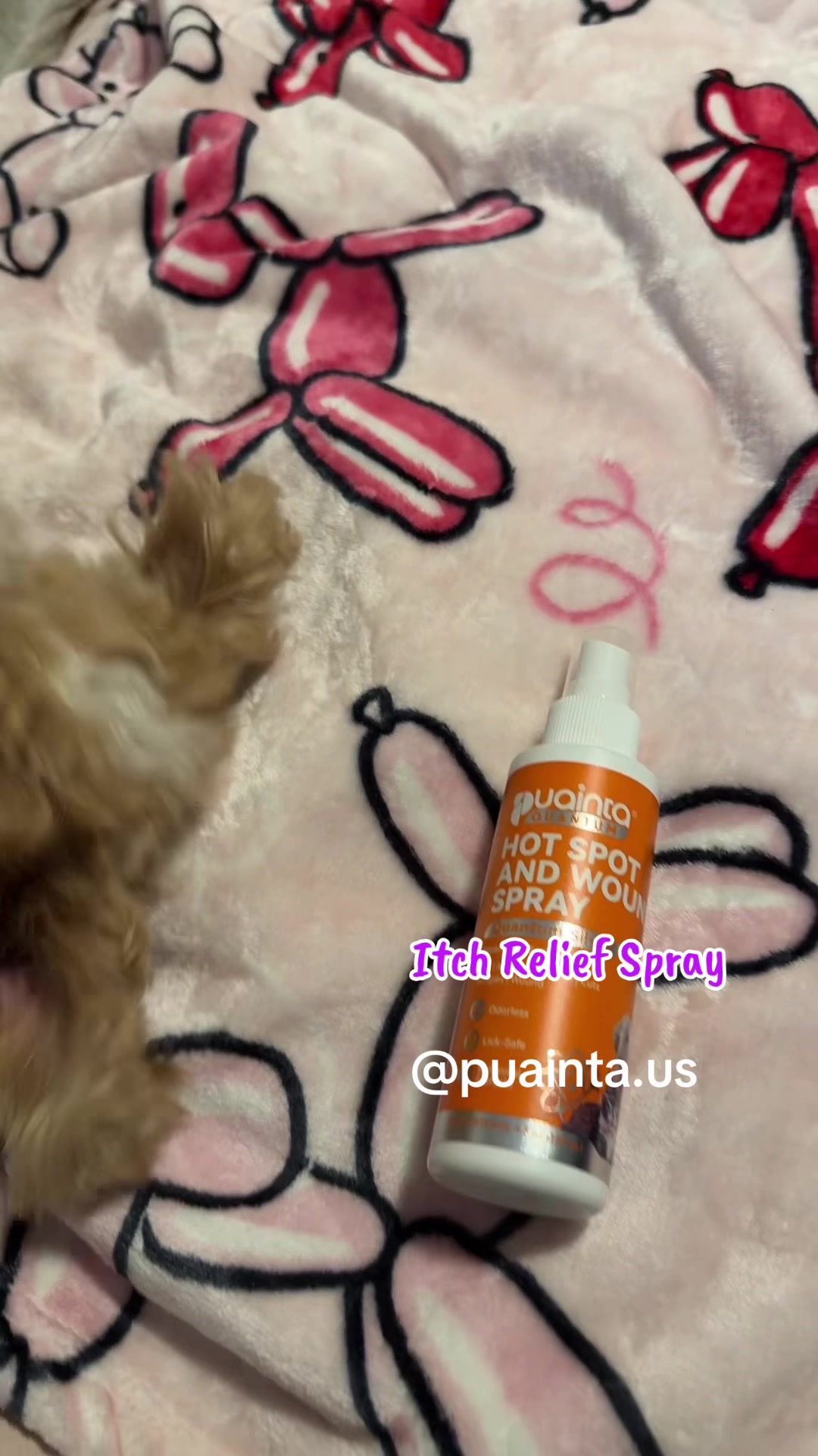 TikTok post by @heidylisseth6 for Puainta. Caption reads: Itch Relief Spray –PUAINTA Vet Recommended Skin....