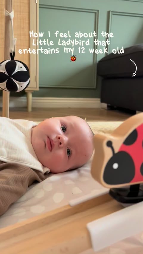 Instagram post by @3sausagesandthebabies for Lovevery. Caption reads: [...] I feel about our ladybird friend 🐞✨....