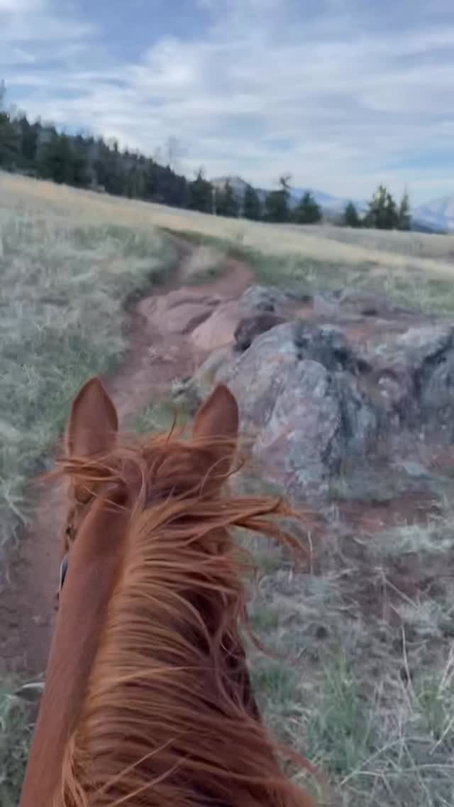 Instagram post by @greengoldandblues for Barbie. Caption reads: This was our first reel to ever go viral back in....