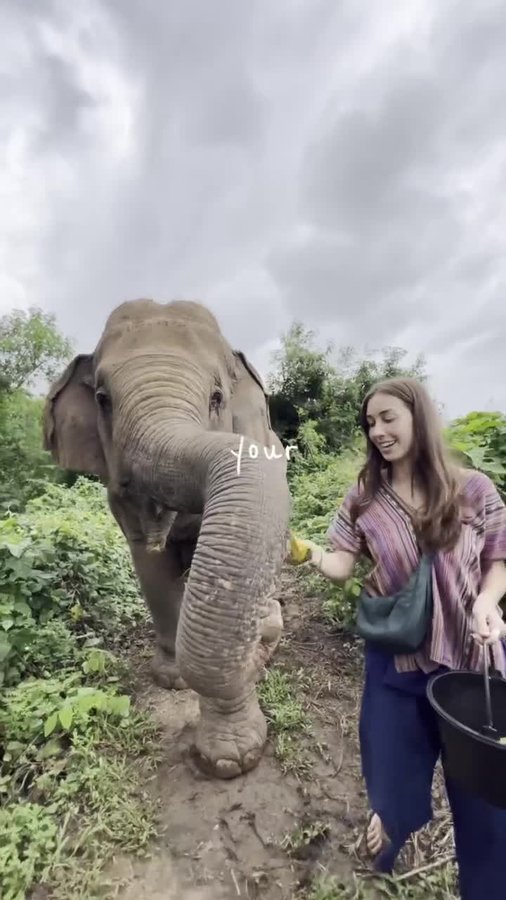 Instagram post by @hannagetshired for Girlboss. Caption reads: I’m just saaaaaying, we live in a time with....