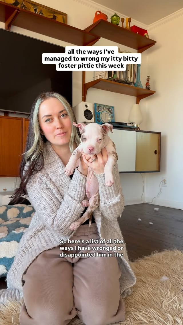 Instagram post by @wethreepitties for Fera Pets. Caption reads: [...] he’s with us. And that’s why he gets....