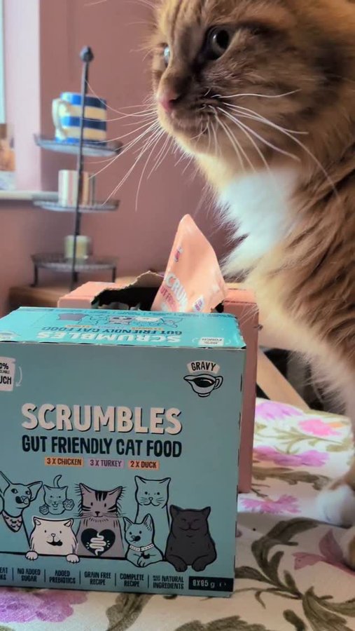 Instagram post by @talesfromwisteriacottage for Scrumbles. Caption reads: A little while ago Pumpkin received an amazing....