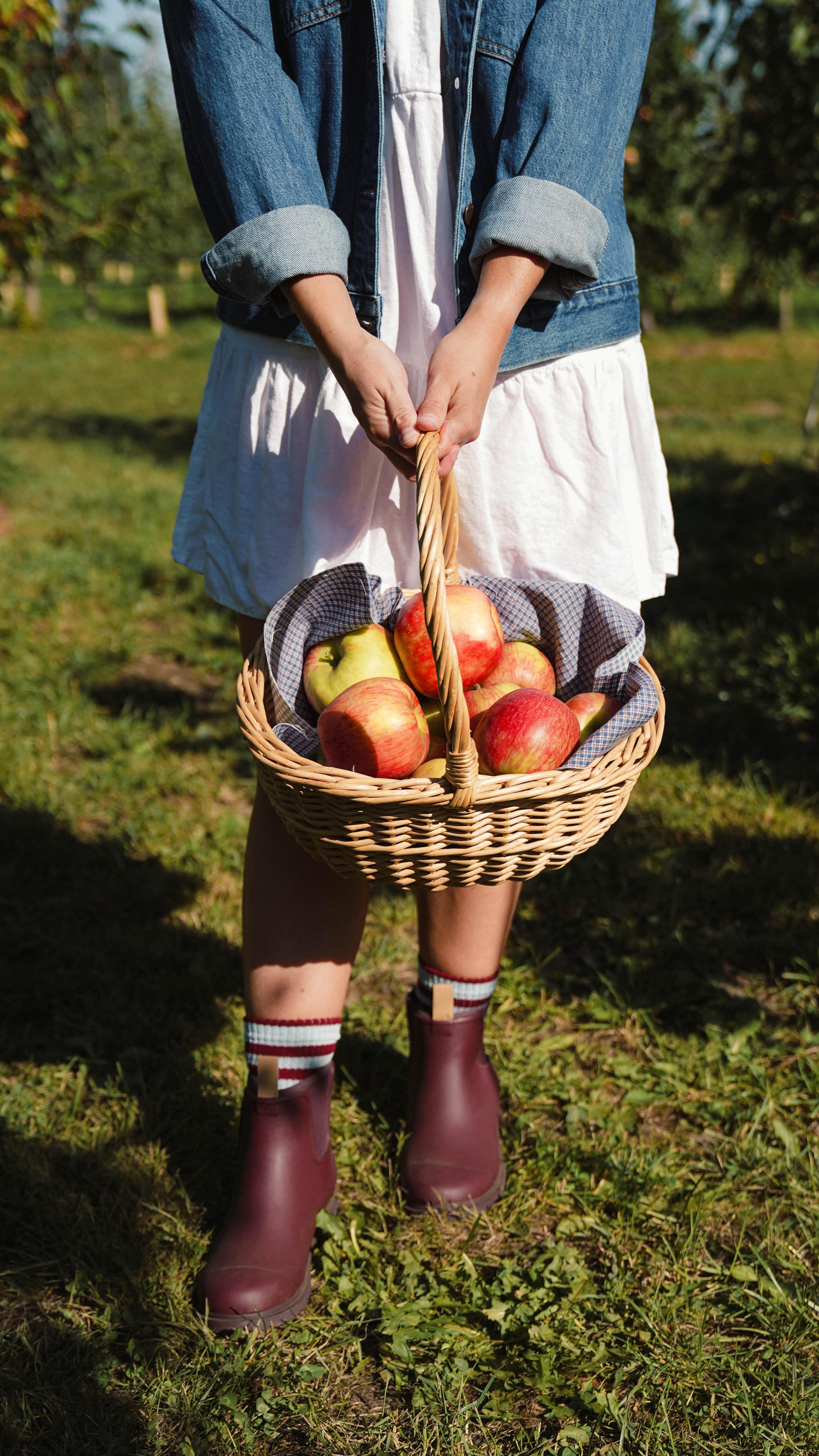 Instagram post by @alittlerainey for Merry People. Caption reads: Apple picking 101 with @merrypeople 🍎🍂🧺✨🍃

1.....
