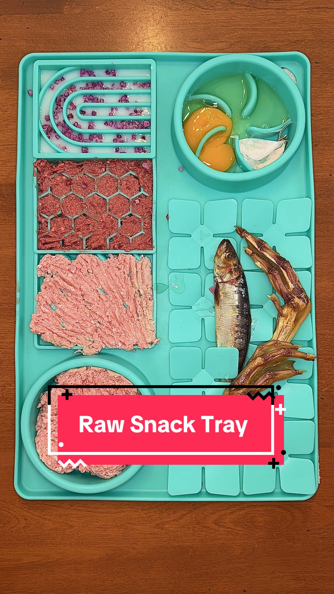 TikTok post by @kaylakowalskinutrition for Oma's Pride. Caption reads: [...] #rawfeddog #asmr #dogfood @Oma’s Pride....