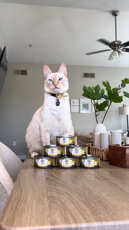 Instagram post by @myarloandalfie for ZIWI Pet Food. Caption reads: 🐾 We’re thrilled to share our experience with....