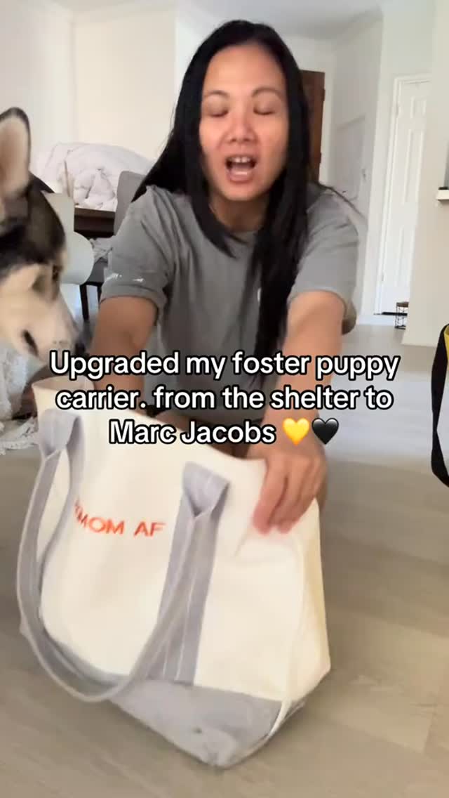 Instagram post by @pawruddd for Marc Jacobs. Caption reads: The doggy bag featuring The poop bag by....