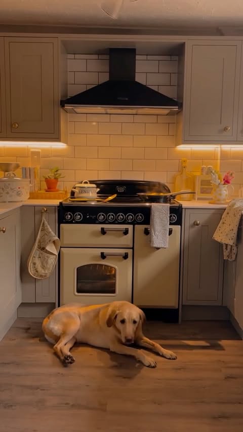 Instagram post by @cosylittlehaven for Blinds 2go. Caption reads: [...] Toaster & canisters @myvquk Curtains....