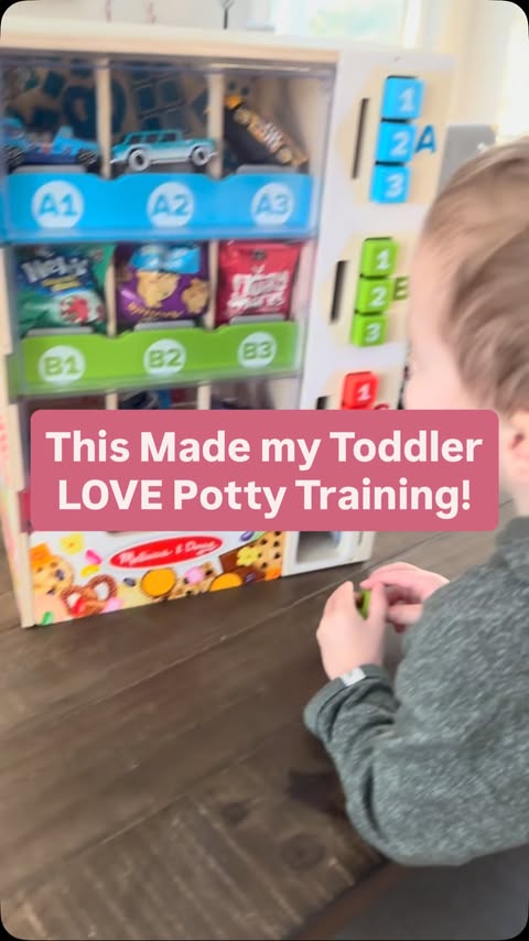 Instagram post by @themiddletonlife for Melissa & Doug. Caption reads: This made potty training so much fun for my son!....