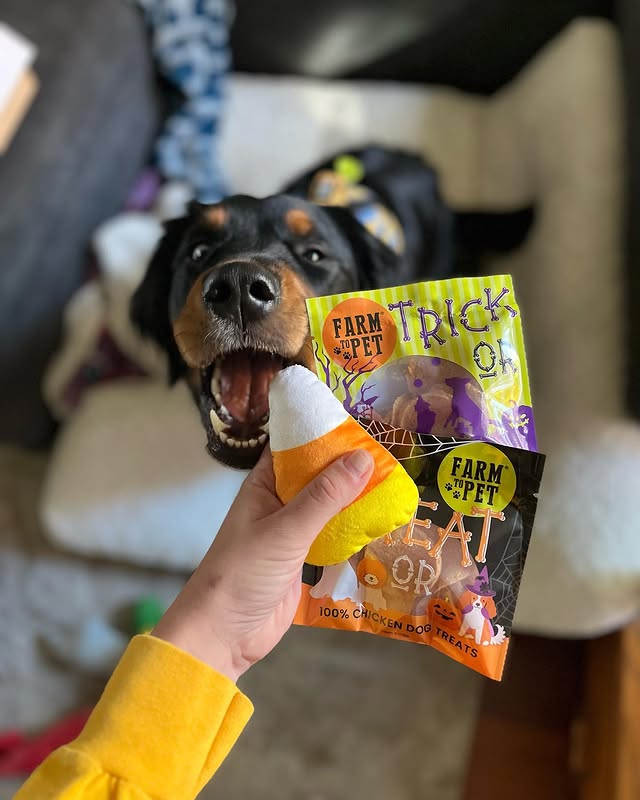 Instagram post by @travelin_chuck for Farm to Pet. Caption reads: [...] rest of the week Use code 🏷️charley....