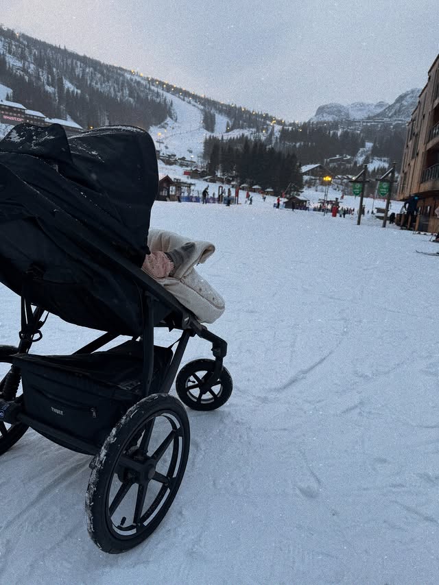 Instagram post by @elvisbatzthelab for Thule. Caption reads: Appreciation post for @thule @doglifebythule....