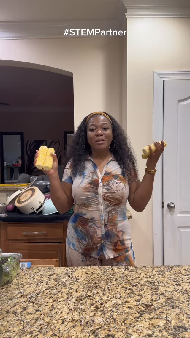 Instagram post by @yo_thats_erica for STEMforBugs. Caption reads: #STEMPartner @stemforbugs STEM Flying Insects Fan....