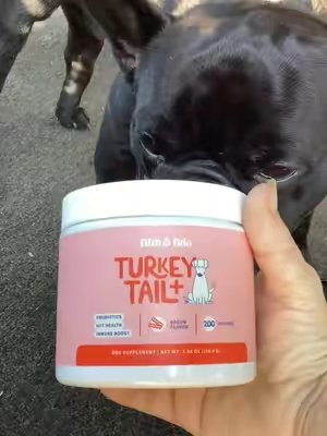 TikTok post by @ctsparks5 for Fifth & Fido. Caption reads: @Fifth & Fido Turkey Tail+ helps shrink thise....
