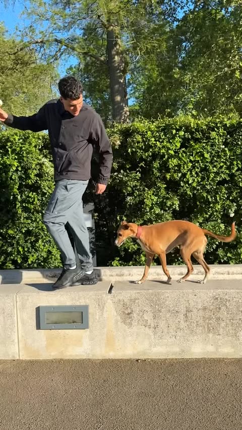Instagram post by @finnorr for Vuori. Caption reads: [...] engineered speed missile dog in my....
