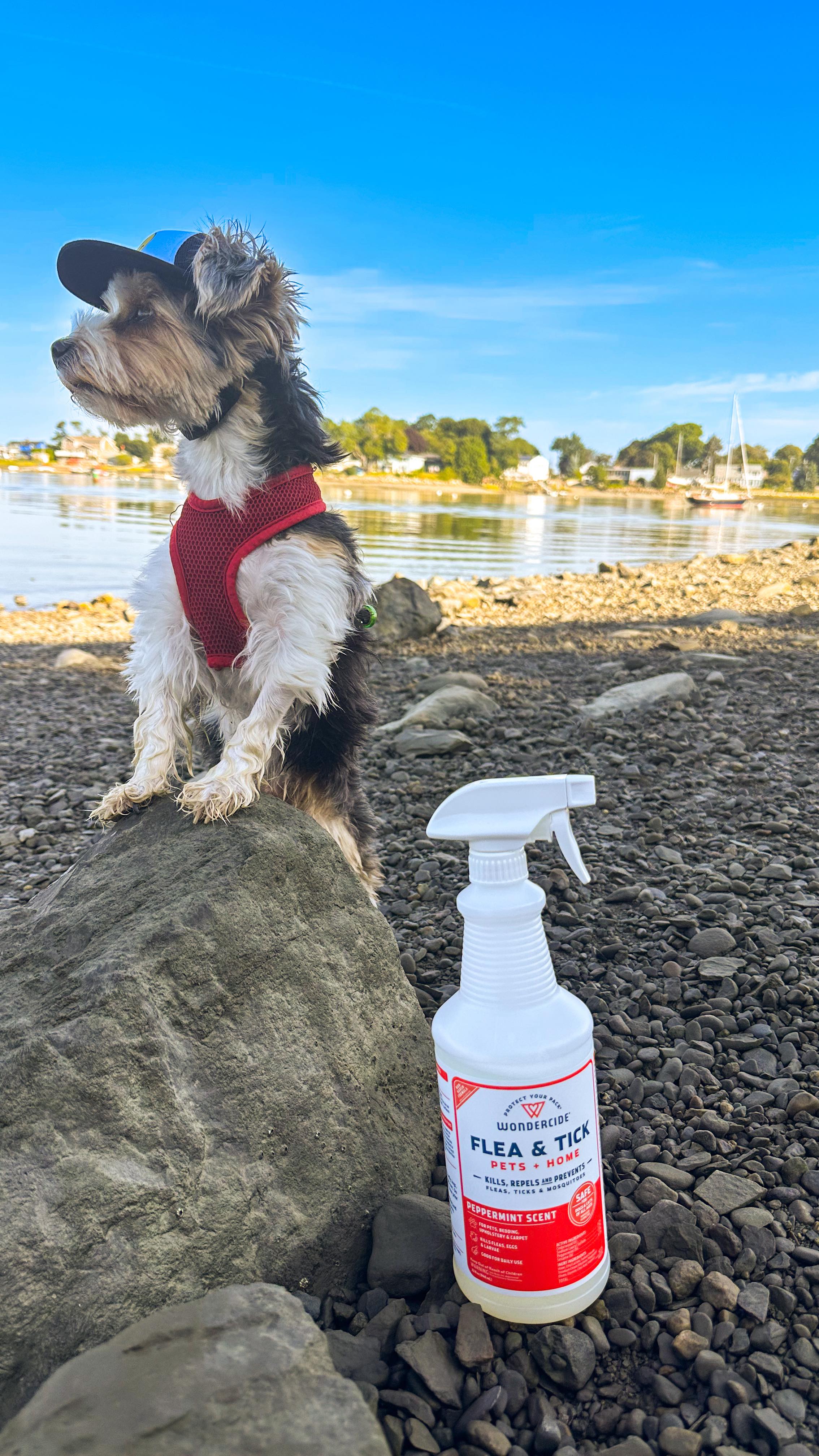 Instagram post by @tricolor.toby for Wondercide. Caption reads: [...] not anymore. Meet your #DogMom hack:....