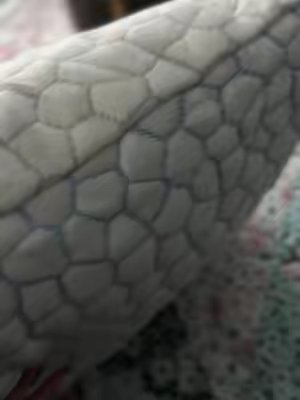 TikTok post by @lovedbyvictoriaaa for Alcedo Health. Caption reads: A pillow with an actual cold side AND a cozy, soft....
