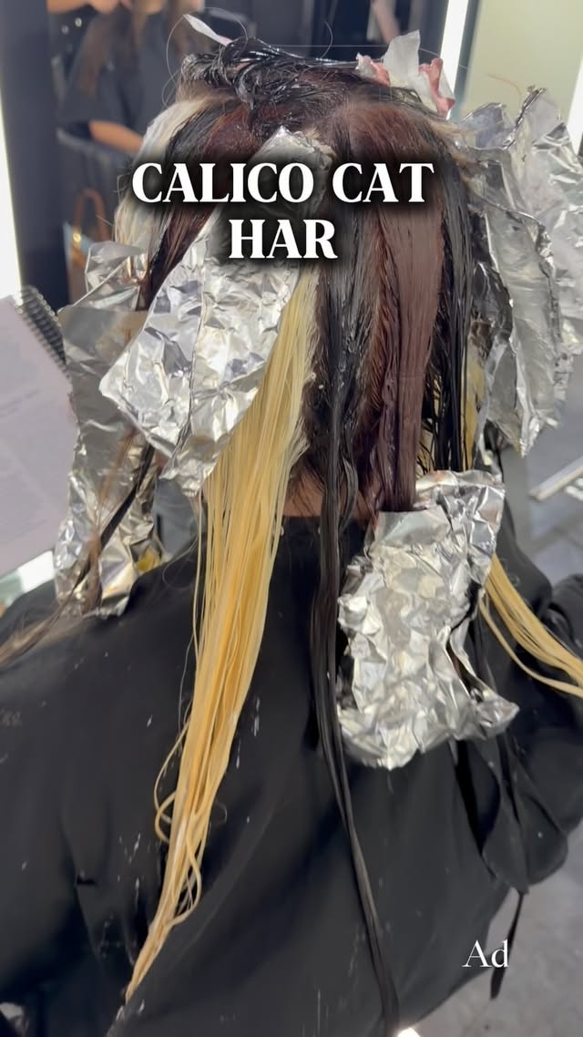 Instagram post by @artistic.aestheticss for SalonCentric. Caption reads: CALICO HAIR !! Im partnership with @saloncentric ....