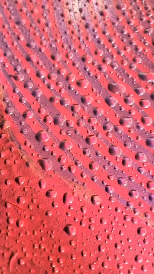 Instagram post by @lowriderpaintmasters for Tropical Glitz. Caption reads: [...] 

Thank you to our sponsors 

@tropicalglitz....