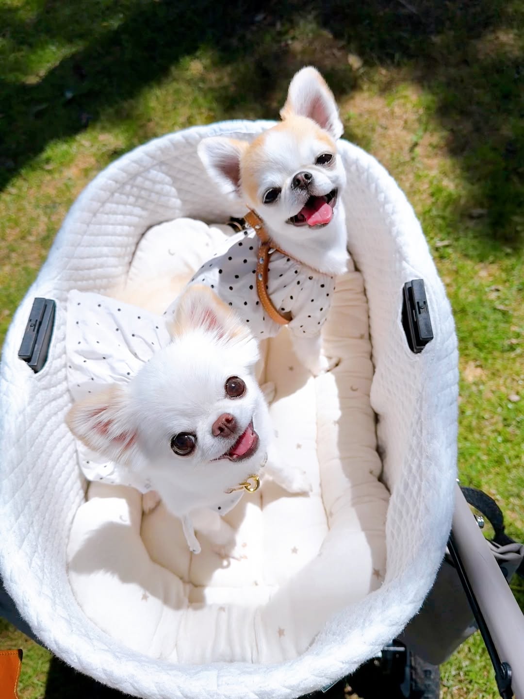 Instagram post by @kayoboon for Mon Cheri. Caption reads: 🧸

久々の新しいカートのクッション♡
エアバギー専用の底に敷くマット買ったけど
思ったより高さが....