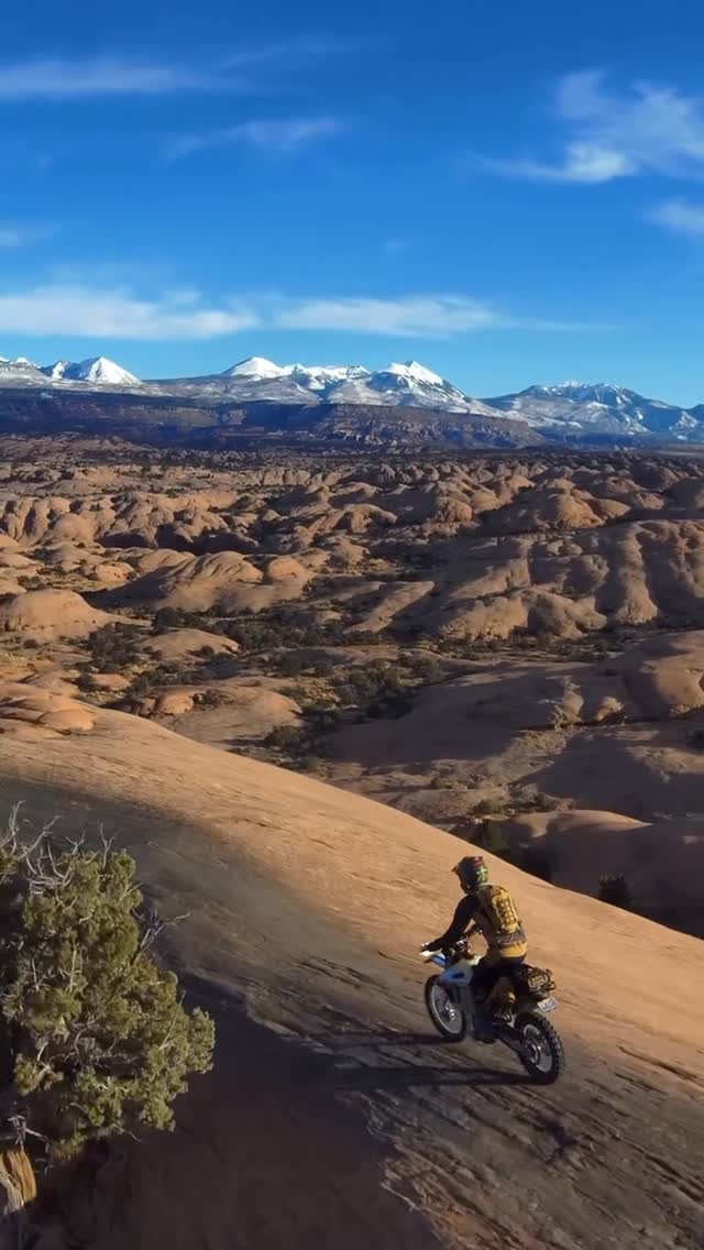 Instagram post by @thedustylizard for Mosko Moto. Caption reads: 🚨 Giveaway 🚨 We’re giving away the full Dusty....