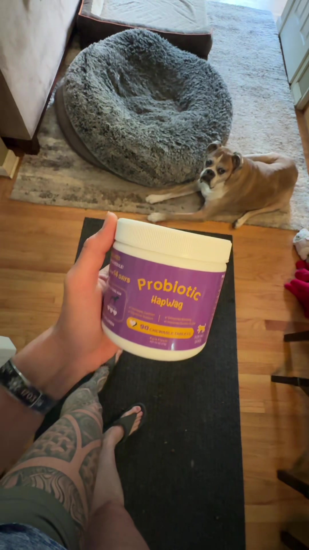 TikTok post by @sergeantashleysmith for Hapwag Pets. Caption reads: [...] probiotic soft chews by @HAPWAG.BANG @HAPWAG....