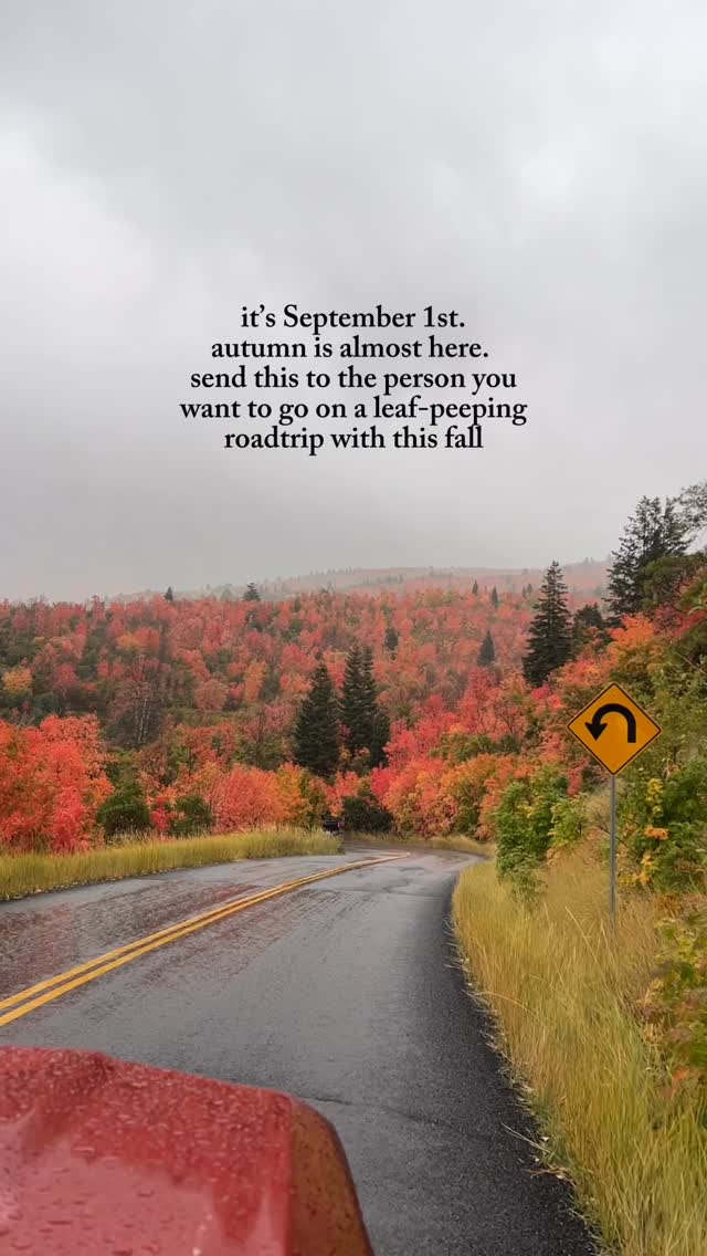 Instagram post by @hikersledge for Ford Bronco. Caption reads: who do you want to go leaf-peeping with this fall?....