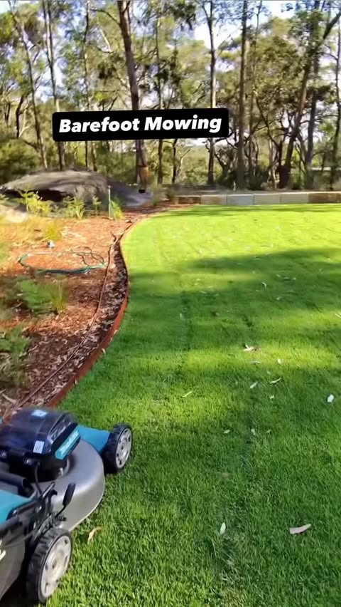 Instagram post by @turfandtools for Blundstone. Caption reads: Zoysia Australis day 16. Want to know more,....