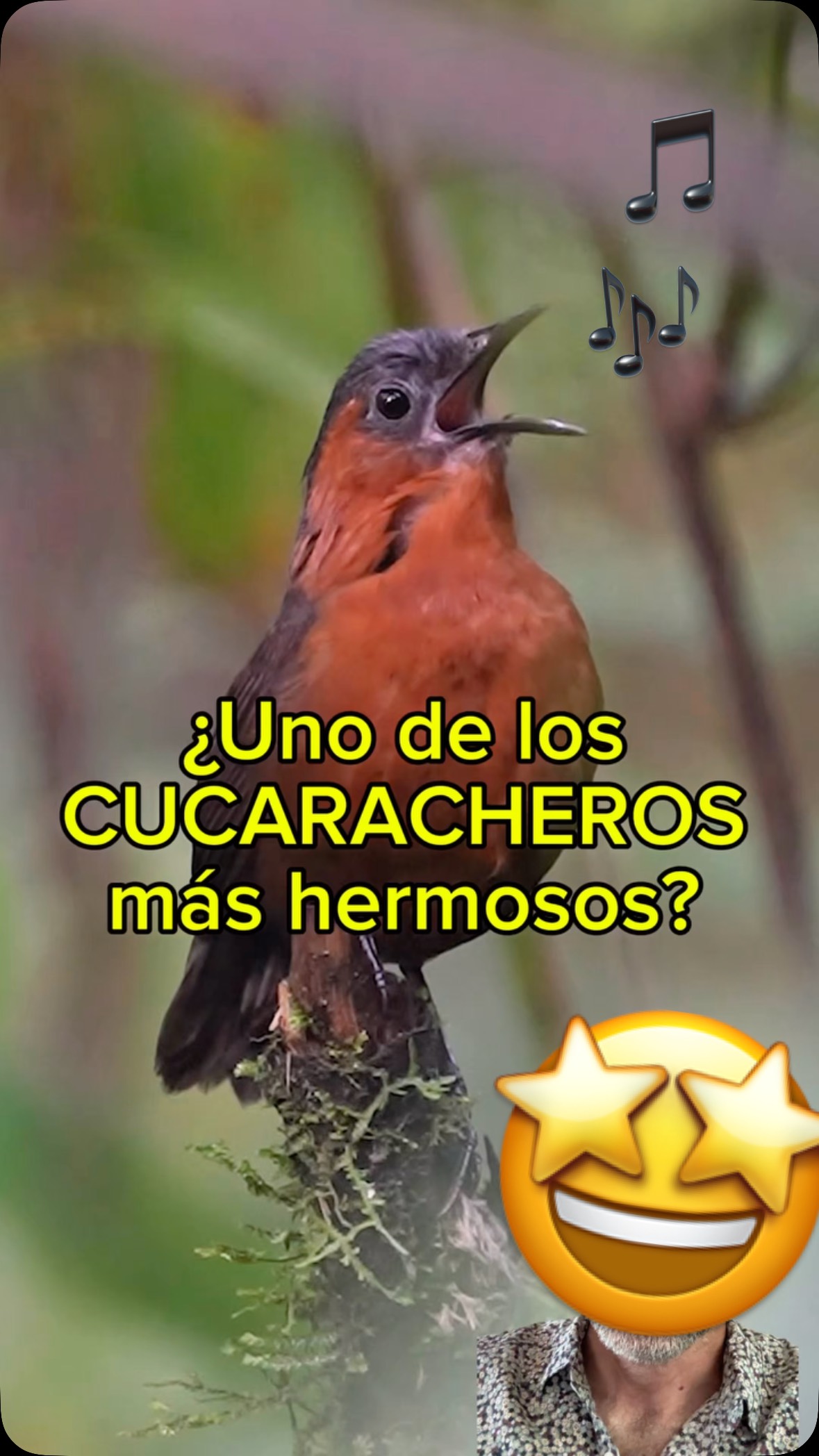 Instagram post by @diegocolbirding for Sony Alpha. Caption reads: Caigan al @efotodenaturaleza pa que aprendan a....