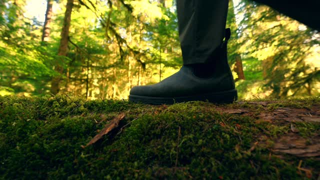 Instagram post by @willieravenna for Blundstone. Caption reads: Pacific Northwest Forest Shenanigans🌲
#nature....