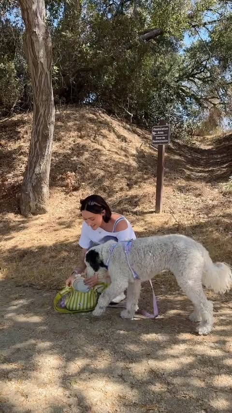 Instagram post by @paigeejenna for Petco. Caption reads: [...] ready for all her summer hikes thanks to....