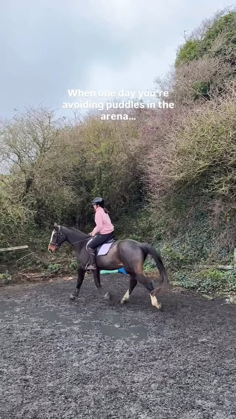 Instagram post by @canterring for Shires Equestrian. Caption reads: Who would’ve thought😆
(Ad gifted items) 

Though....