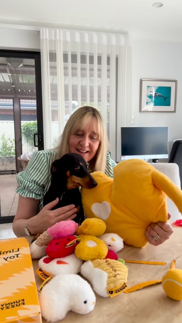 Instagram post by @frankieandbillie_ for FunnyFuzzy. Caption reads: [...] gifted these beautiful toy boxes from....