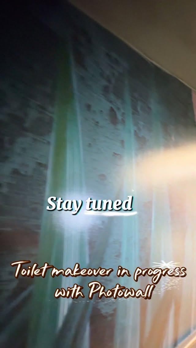 Instagram post by @joyfulfamusa for Photowall. Caption reads: ✨ Toilet makeover in progress with....