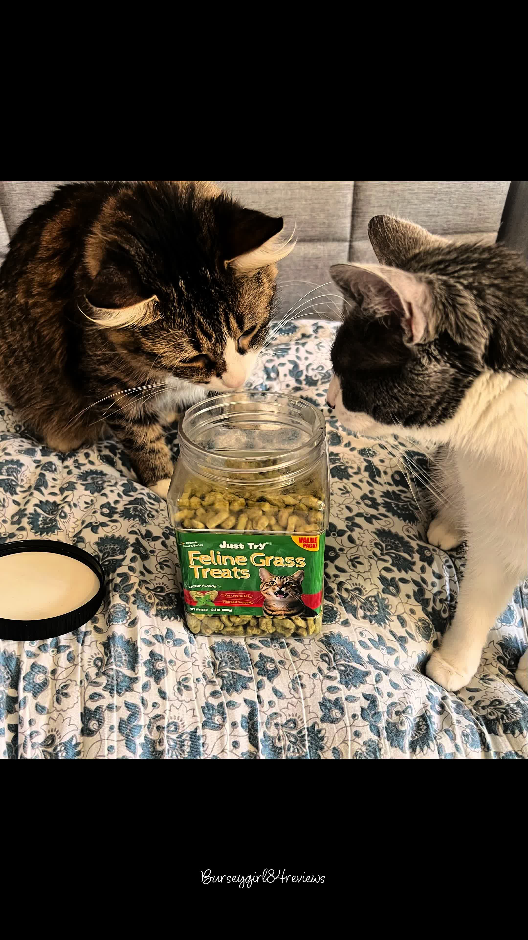 TikTok post by @burseygirl84reviews for Just Try Pet US. Caption reads: Hello friends! It’s a beautiful day here in....