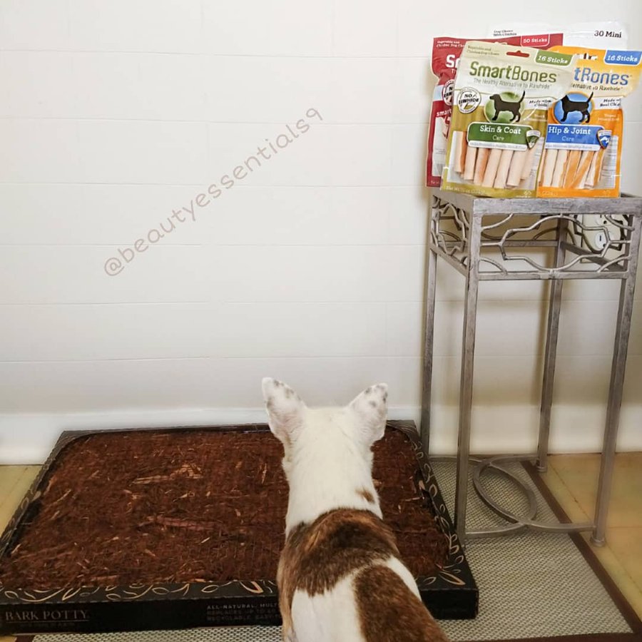 Instagram post by @beautyessentials9 for Bark Potty. Caption reads: [...] ❤️ Some furry baby necessities ❤️ @barkpotty....