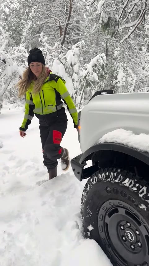 Instagram post by @tree_being for Ford Bronco. Caption reads: [...] #Ford #Bronco #treework #treeclimbing....