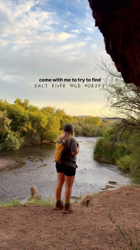 Instagram post by @danielleoutdoors_ for Bagsmart. Caption reads: [...] like this, ive been using my....