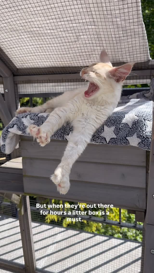 Instagram post by @a.cat.named.fig for PrettyLitter. Caption reads: If Fig, Scout, and Dune are spending a good amount....
