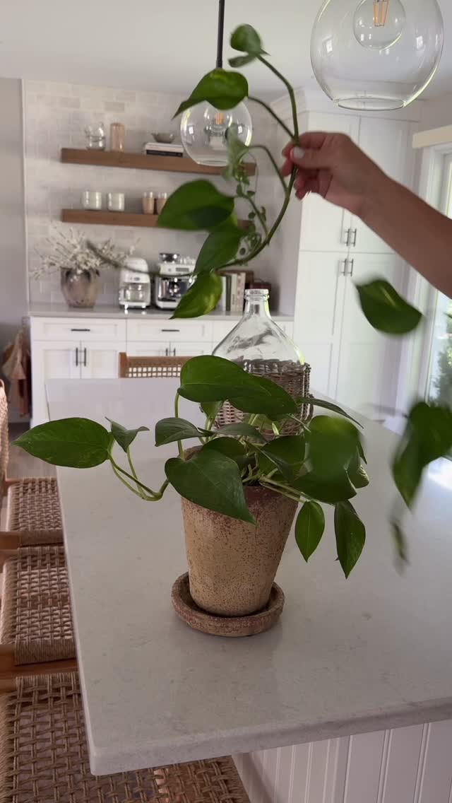 Instagram post by @ourhomeoncolonial for Overstock. Caption reads: Guys! Pothos plants are by far the easiest plants....